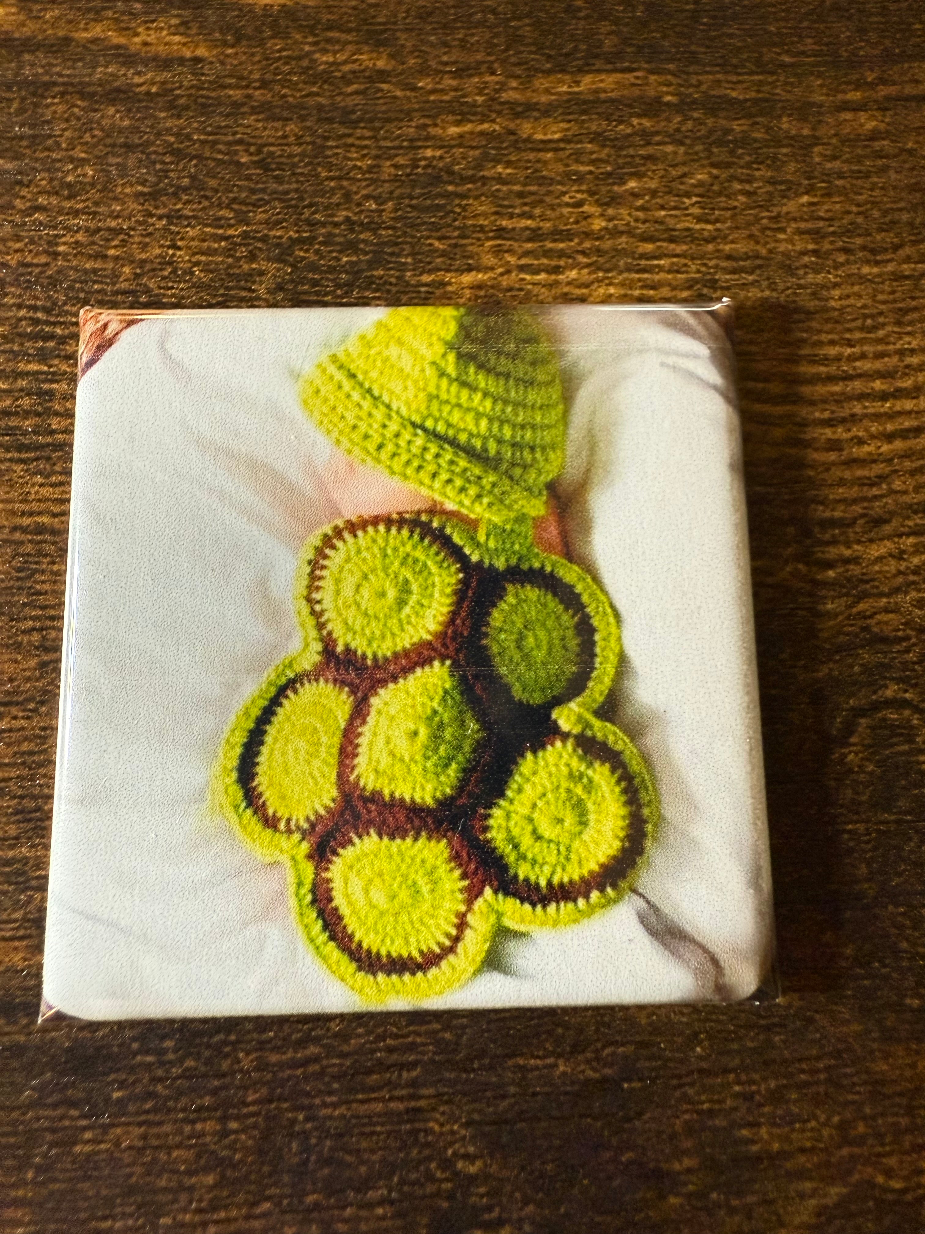 Bulk Marketing, Branding & Studio Photography Magnet Orders — Starting at 45 Pieces