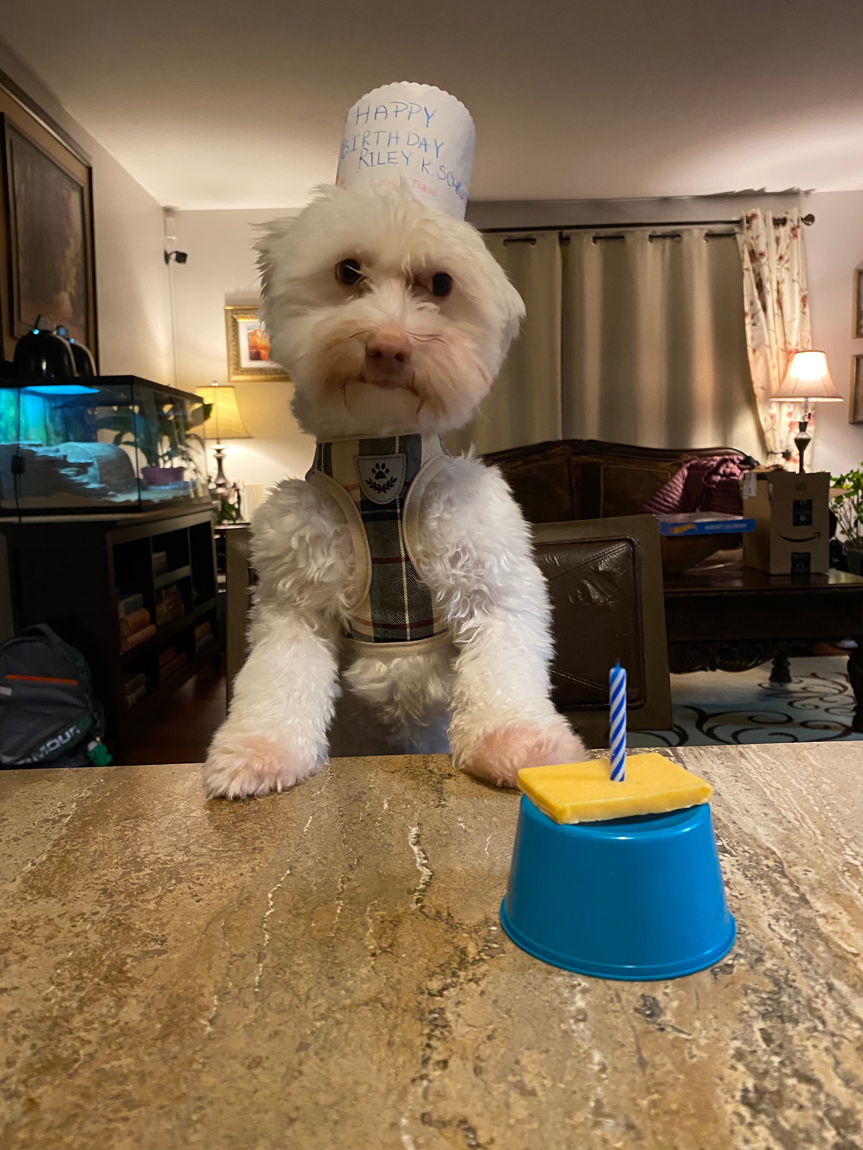 9 Piece Magnet Puzzle